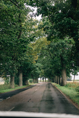 Empty road forward. Rural road with trees on both sides. 