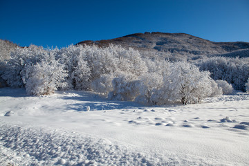 APPENNINO TOSCO EMILIANO PARCO NAZIONALE MAB UNESCO