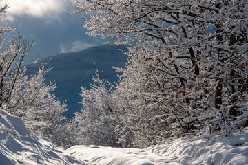 APPENNINO TOSCO EMILIANO PARCO NAZIONALE MAB UNESCO