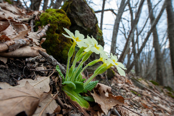 APPENNINO TOSCO EMILIANO | PARCO APPENNIN0