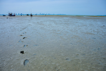 Footprints on the beach fossils,close up of female footprints on the beach,Footprints of human feet...