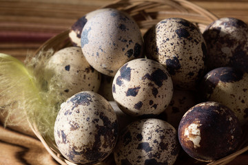 Easter eggs in basket with feather. On black background. Morning light.