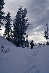 Winterlandscape Hallingdal, Gol