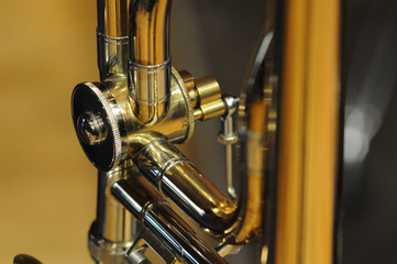 playing music, Jazz, Pop, Rock, Funk