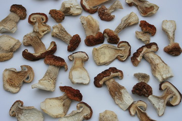 Steinpilze, Herrenpilze, Waldpilze getrocknet