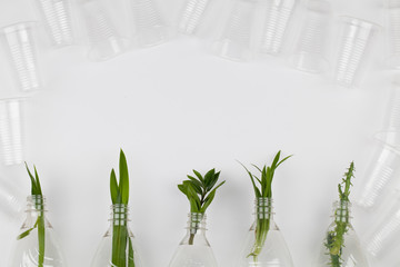 plant branches inside empty plastic bottles, plastic glasses on white background.