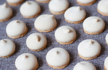 meringue cookies  on solid background