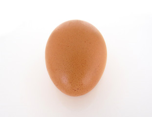 Chicken egg isolated on white background. Single brown egg