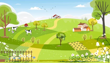 Tuinposter Landelijk boerderijlandschap met groene velden, boerderij, schuur, dierenkoe, blauwe lucht en wolken, Vector cartoon lente of zomer landschap, Eco dorp of biologische landbouw in het Verenigd Koninkrijk © Anchalee
