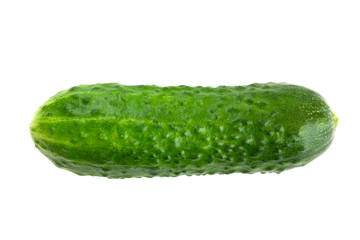 Fresh green cucumber on a white background. One cucumber closeup isolated on white background.