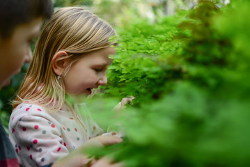 Adorable girl and boy enjoy exploring in a diverse tropical flora in secret garden. Children, people, preschool and greenhouse concept.