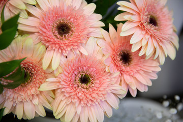 Photo of trendy flowers for graphic and web design. Floral image for web or mobile app
