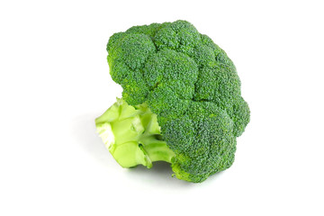 Fresh broccoli on a white background. Green broccoli closeup isolated on a white background.