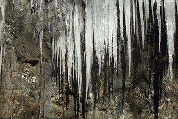 Icicles on a rock