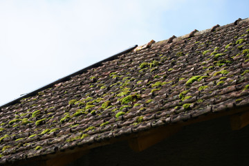 Roofing with different materials is overgrown with moss and other plants