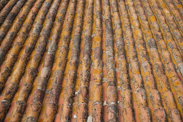 Roofing with different materials is overgrown with moss and other plants