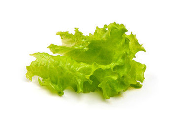 Lettuce Salad leaf, isolated on white background