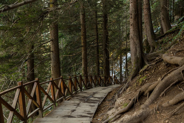 Obraz premium Wooden Fence Mountain Altindere Valley Park Turkey Trabzon
