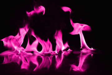 Beautiful fire pink flames on a black background.