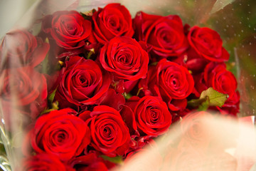 Photo of trendy flowers for graphic and web design. Floral image for web or mobile app