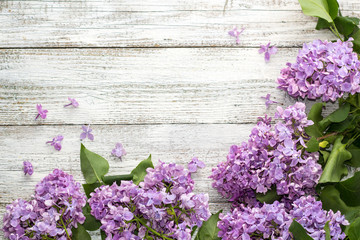 blooming spring lilac flowers on a white wooden background