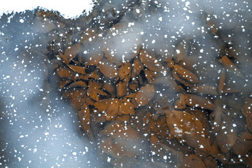 Frozen Water Autumn Leaves Winter Ice Snow