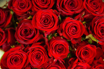 Photo of trendy flowers for graphic and web design. Floral image for web or mobile app