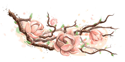 Blooming Magnolia. Wall sticker. Artistic, color, hand-drawn image of Magnolia flowers on branches in watercolor style.