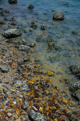Stone courtyard on the public beach,Beautiful seascape with natural stone yard on beach against cloudy sky,Rocky shore at the seacoast with seascape and blue sky,
