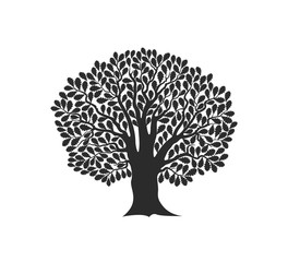 Oak tree logo. Isolated oak tree on white background