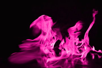 Beautiful fire pink flames on a black background.