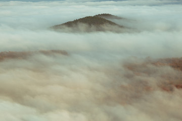 Autumn inverse clouds cover the landscape. From the fog they pull out the tree crowns