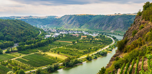 Winningen vineyards wine region, the Moselle river and Moselle Viaduct panoramic view