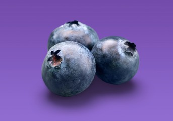 Obraz premium Blueberry.