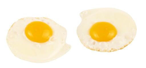 omelet on a white background