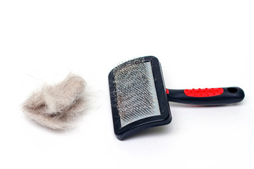 Grooming brush and bunch of animal wool on white background. Selective focus.