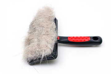 Grooming brush with animal wool on white background. Selective focus.