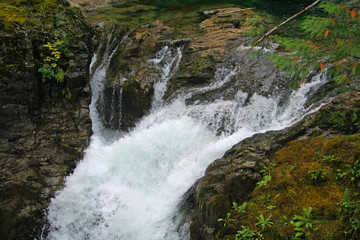 Little Qualicum Lower Falls (BC 00725)
