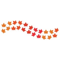 Vector illustration of autumn red, orange and yellow maple leaves on white background. Template for greeting card, poster, promotion, flyer, advertising, personal or company logo.
