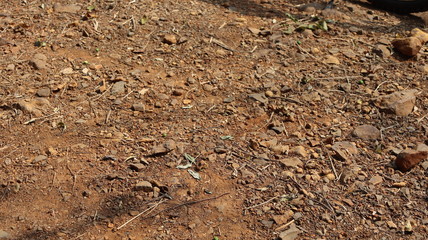 Granular dark brown soil found in the dry land of Deccan.