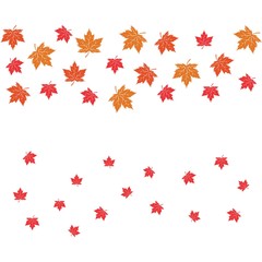 Vector illustration of autumn red, orange and yellow maple leaves on white background. Template for greeting card, poster, promotion, flyer, advertising, personal or company logo.