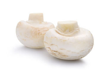 Two champignon mushroom