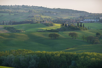 Fototapeta na wymiar Beautiful landscape in Val d'Orcia in Tuscany in Italy with green and yellow grass fields and trees with sky with clouds and typical tuscany trees cypresses and sweet hills at sunrise