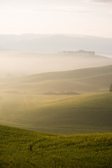 Beautiful landscape in Val d'Orcia in Tuscany in Italy with green and yellow grass fields and trees with sky with clouds and typical tuscany trees cypresses and sweet hills at sunrise