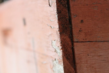 abejas, apicultura, apicultor, medio ambiente, abejas solitarias, colmena en abejas, colmena, campo, felicidad, superación, beekepers, save the bee, Chile, miel, polen, propoleo 