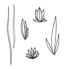 Fototapeta na wymiar Hand drawn illustration. A set of simple twigs, wild grass. Sketch, black lines on white. For modern decor, clipart .