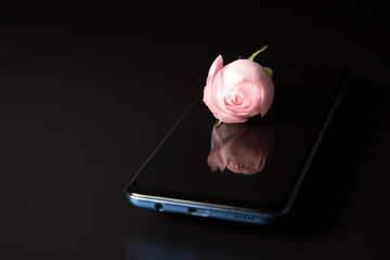 Pink rose and its reflection on the phone on a black background, side view.