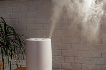 Humidifier spreading steam into the living room
