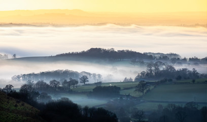 Wooded valley shrouded in mist at sunset in the English countryside