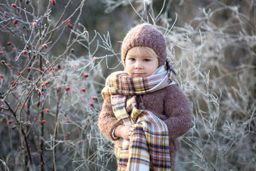 Beautiful toddler boy, dressed in knitted outfit with hat and scarf, playing in frosty morning forest